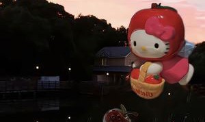 开云平台-213票赞成、214票反对，美众院终止特朗普对伊军事行动议案被否决