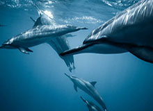 手机游戏，让你的碎片时间也精彩